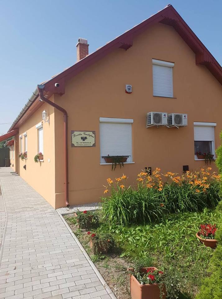 Boróka Vendégház Túrkeve Turkeve Exterior foto